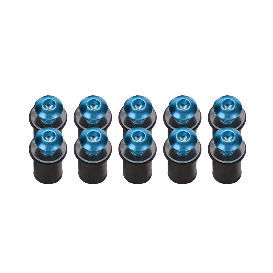 M6 Screen Rubber Well Nuts & Bolts (10-Piece)