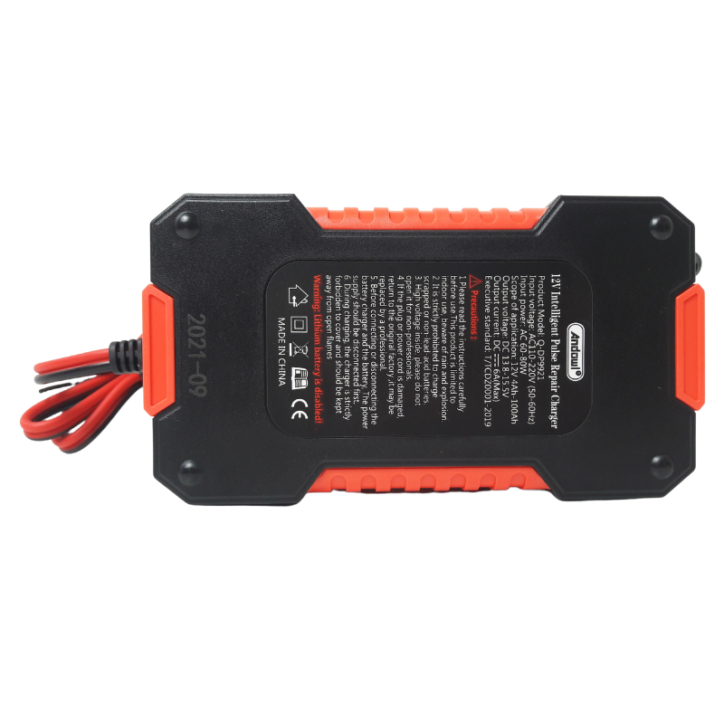 12V Intelligent Pulse Repair Charger Q-DP9921