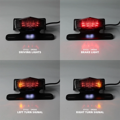 Tail Tidy & Integrated Tail Light compatible with Suzuki DRZ400