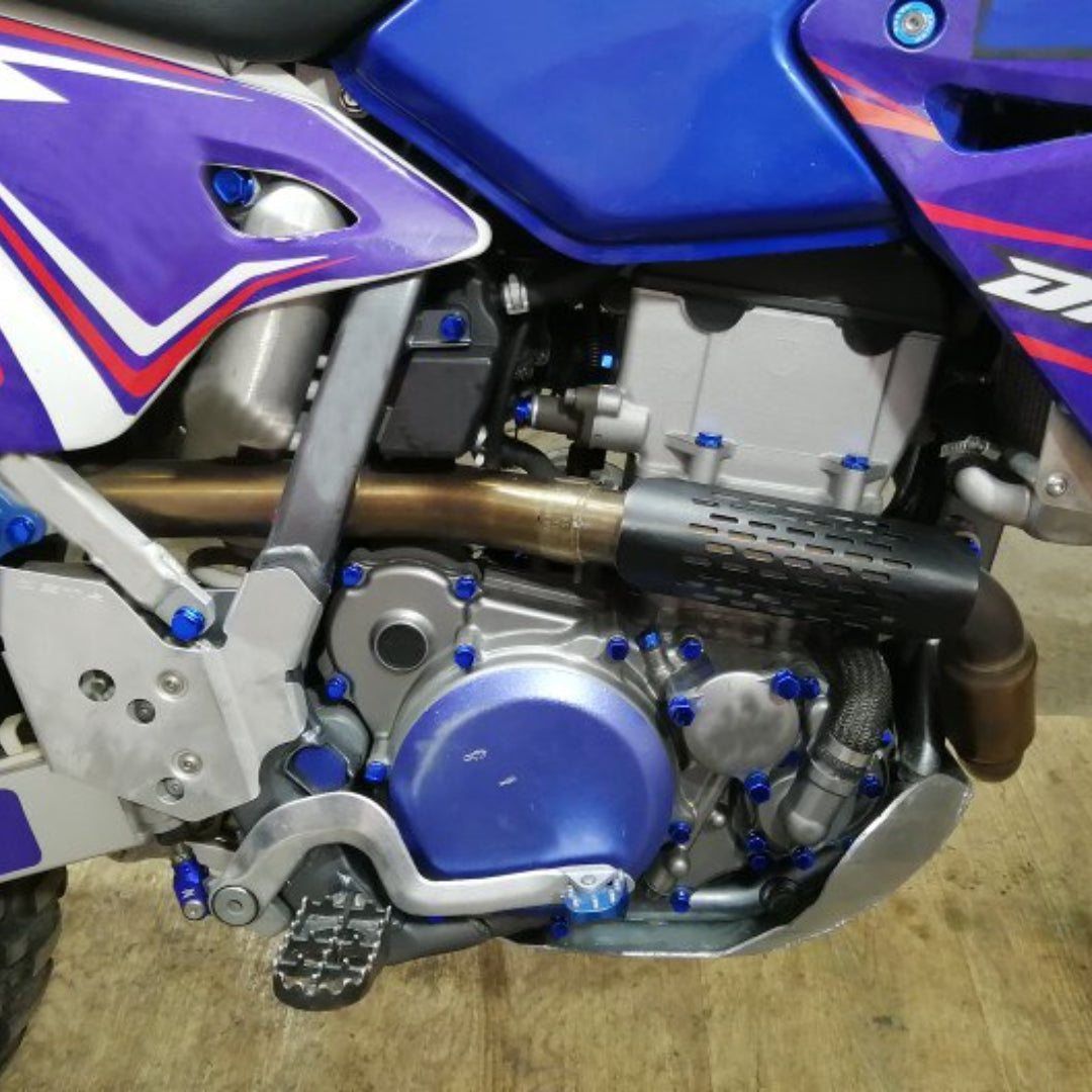 Motorcycle Plastic Bolt Cap Covers (30 Piece)