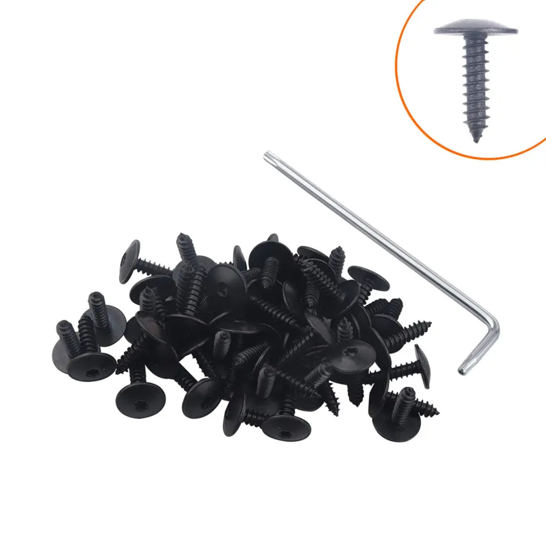 Automotive Self-Tapping Torx Screw M5x16 Set: VW/ Audi & Seat (50-Piece)