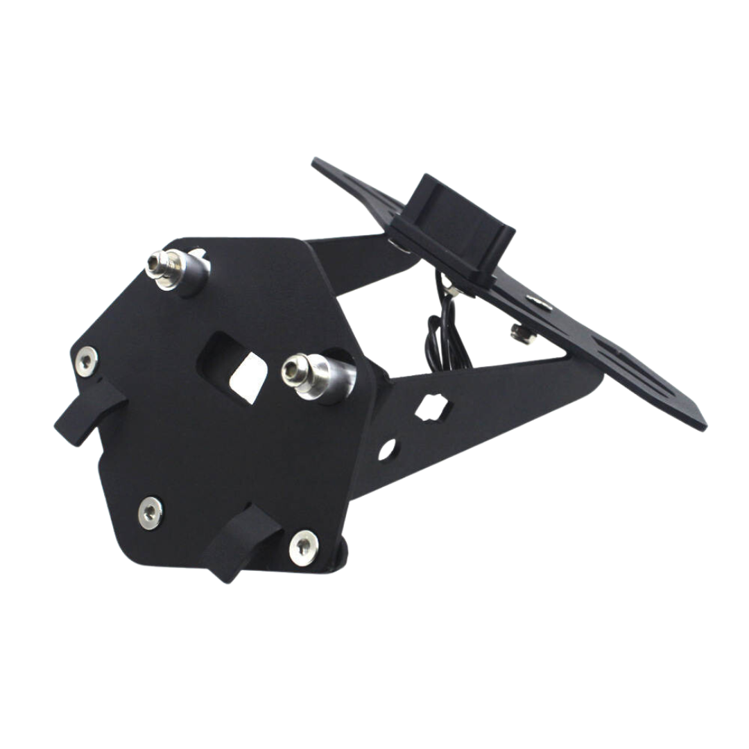 Tail Tidy: Number Plate Holder & Number Plate Light for BMW S1000R/ S1000RR - #2