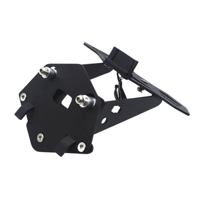 Tail Tidy: Number Plate Holder & Number Plate Light for BMW S1000R/ S1000RR - #2