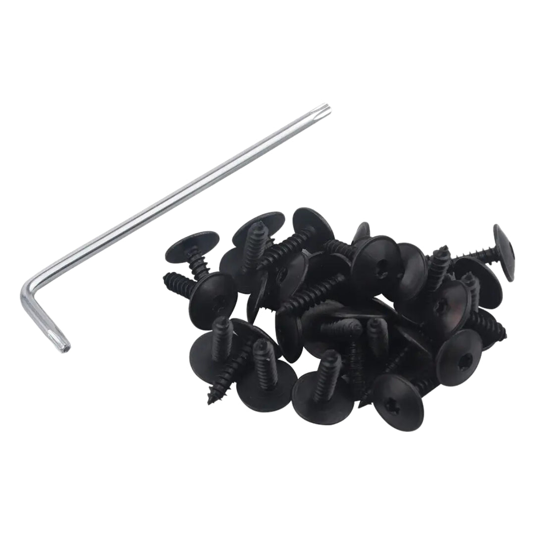 Auto M5x16 Torx Screw & Clip Set: Universal/ VW/ Audi & Seat (100-Piece)