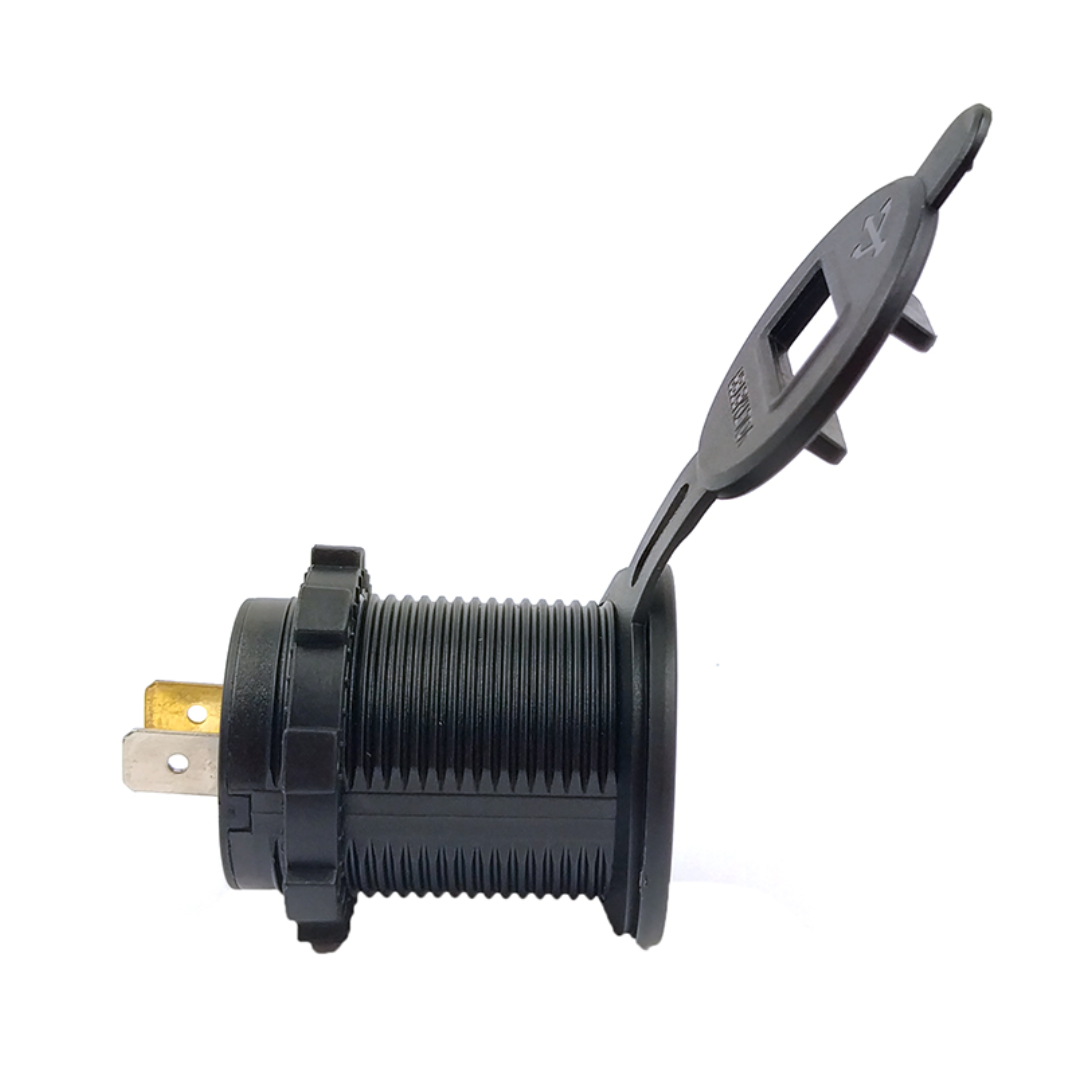 Auto Dual USB Port (4.2A)