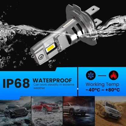 Aftermarket H/Light Bulb Set: H7 (60W)